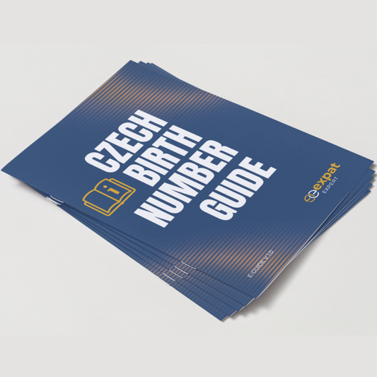Praktický průvodce k českému rodnému číslu (e-book) - EN